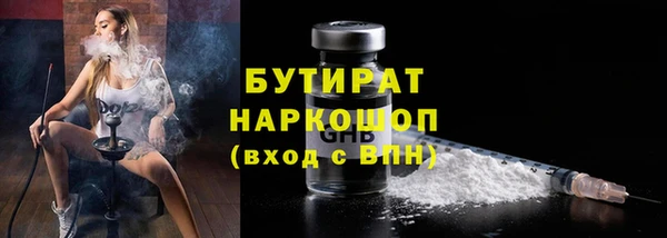 сатива Верея