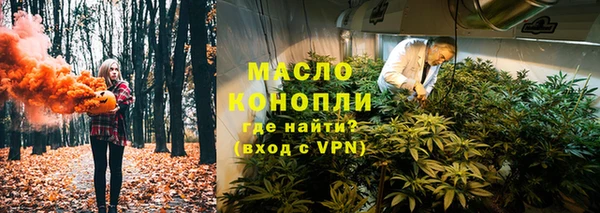 мдпв Верхний Тагил