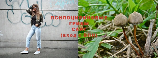 сатива Верея